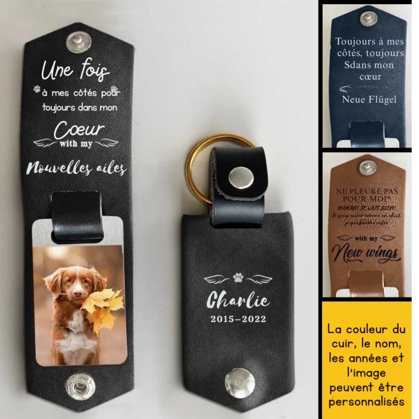 (法语)(法语)(法语)(德语)(德语)(德语)