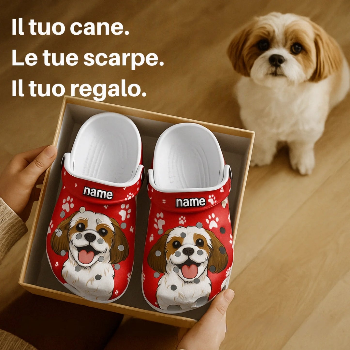 意大利礼盒洞洞鞋