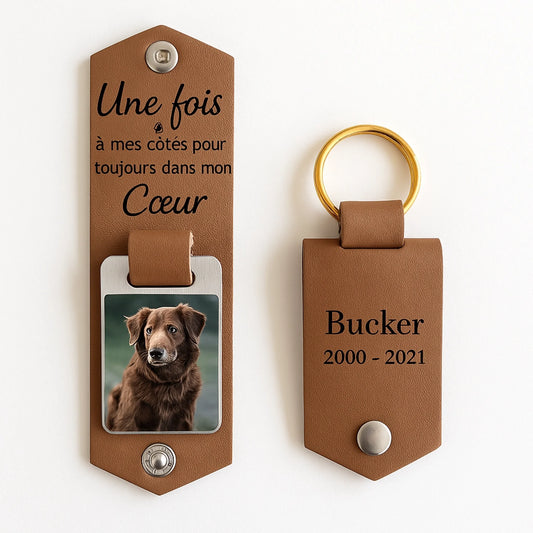 ChatGPT Image Jun 9, 2025, 10_41_09 AM