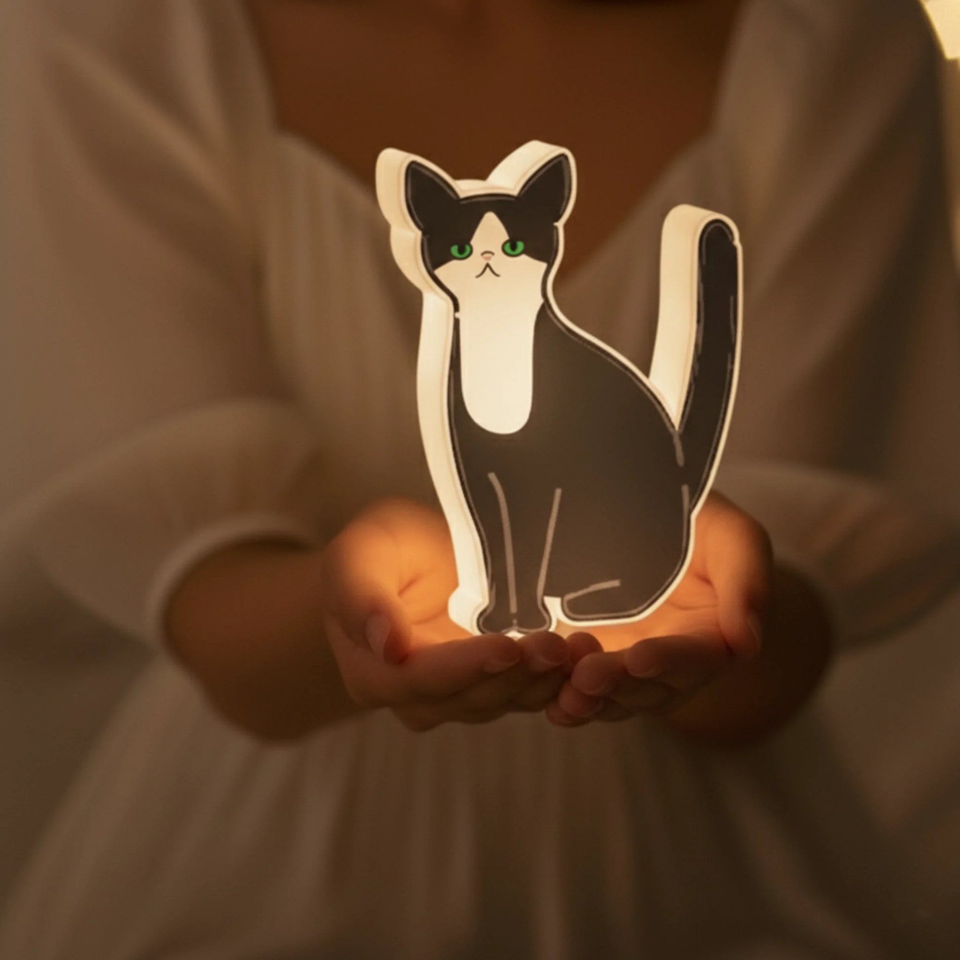 c9e2c558dc16060130d053b271cf90b9