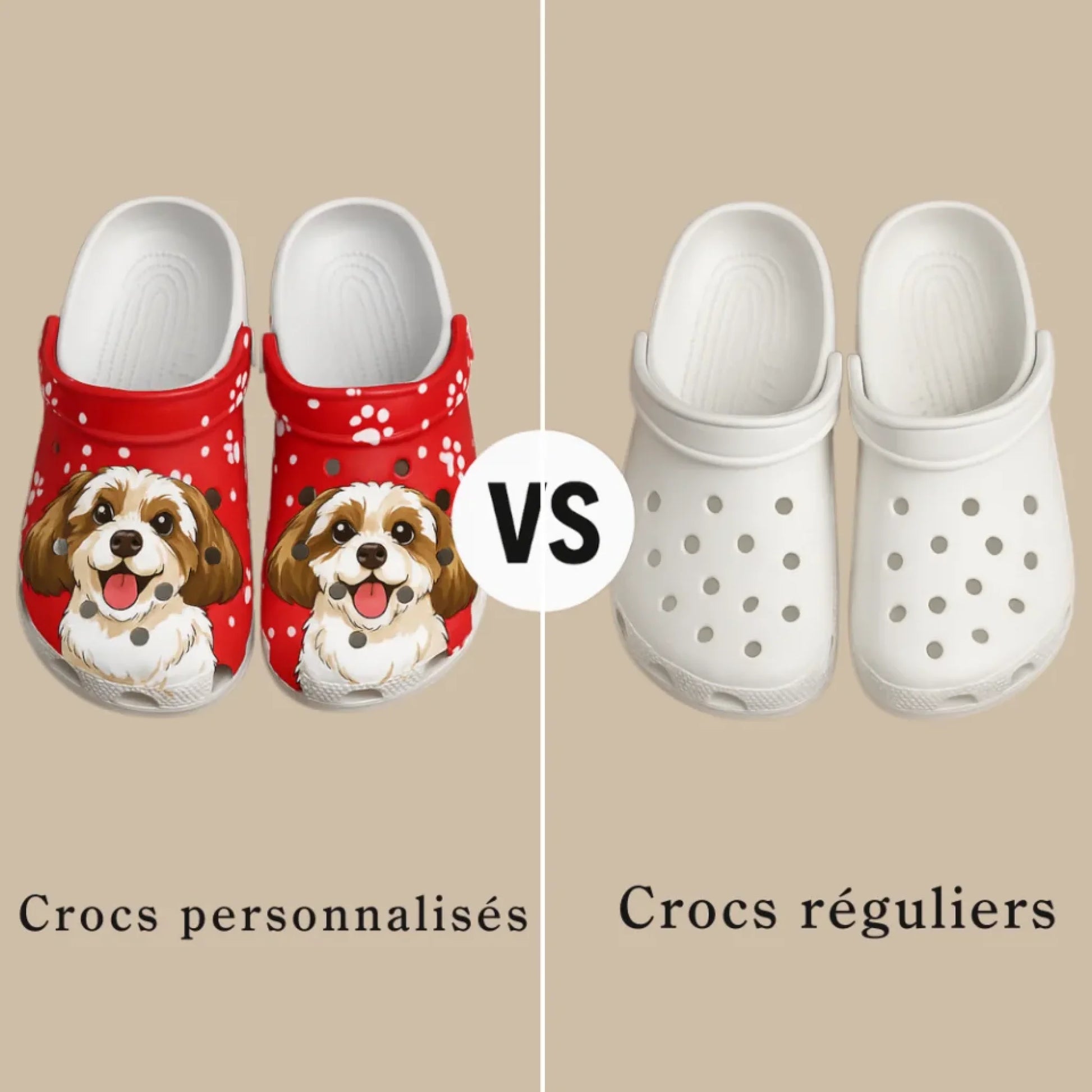 法语洞洞鞋对比图