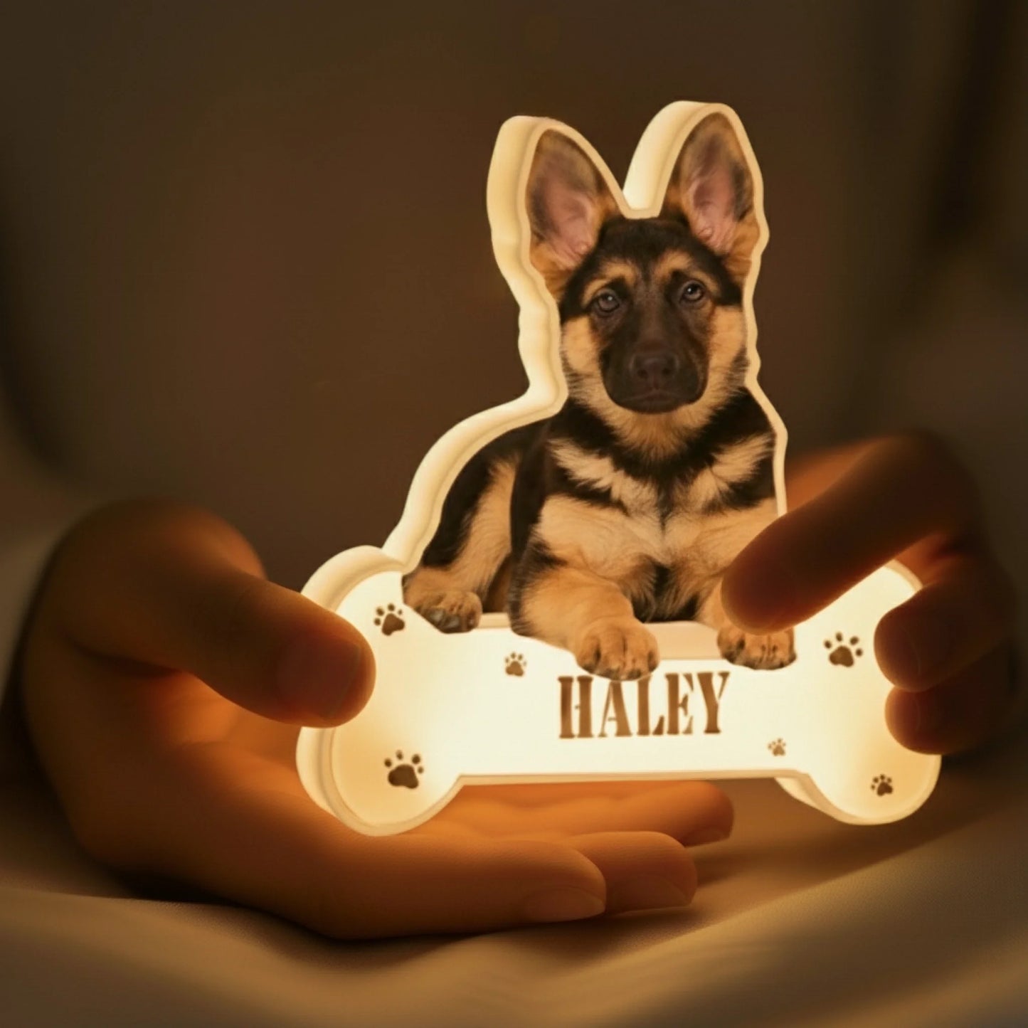 3f812d4f1eb70df8e048b60c03234bde