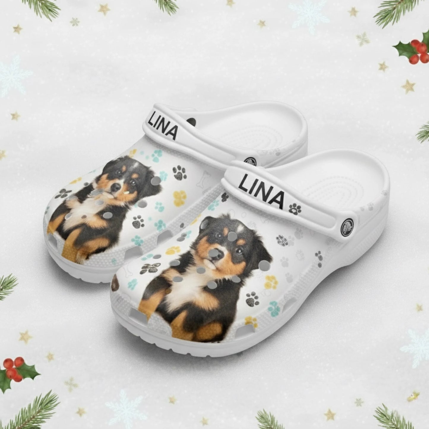 6a9173bbc829a0d562540b069a8880fd