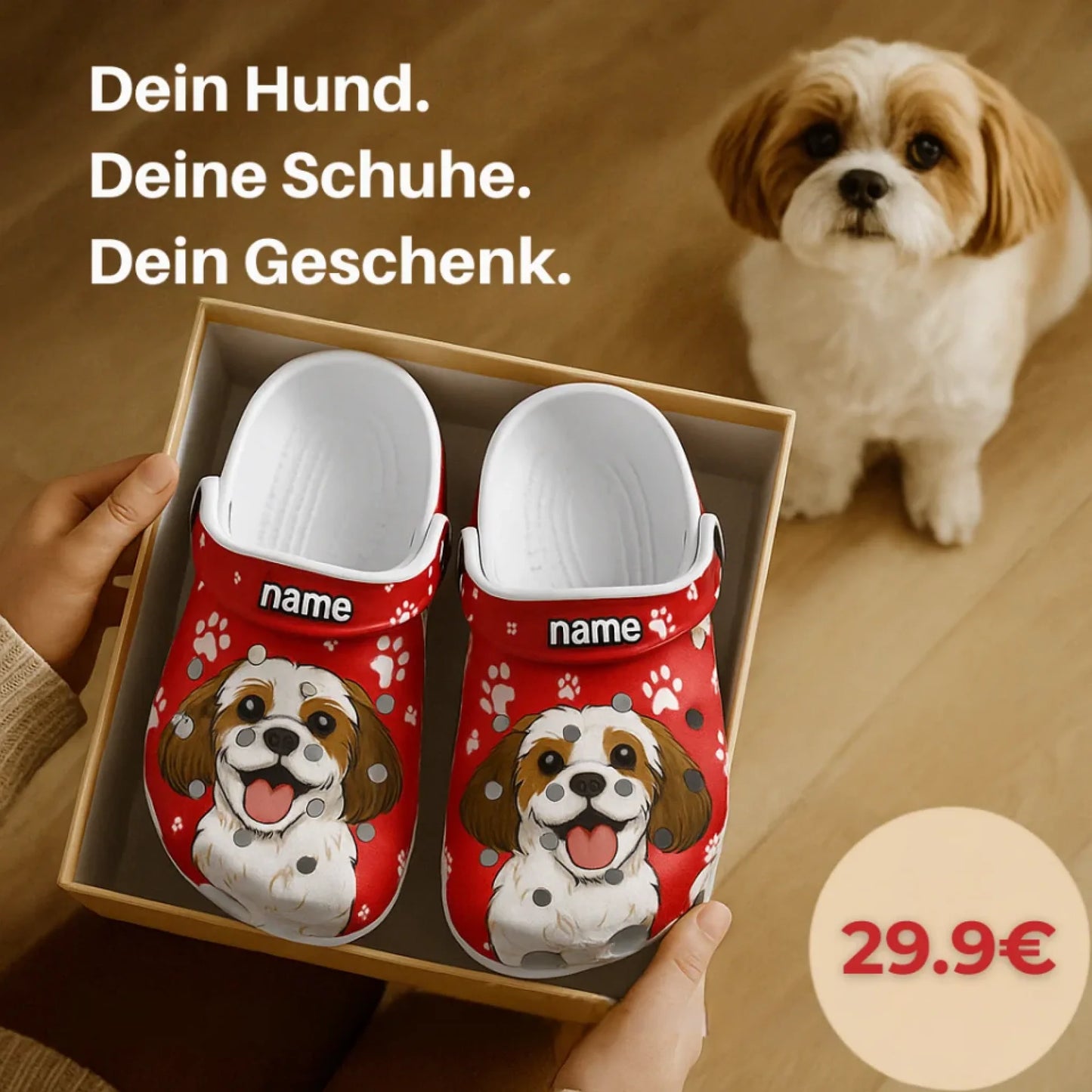 德语礼盒洞洞鞋