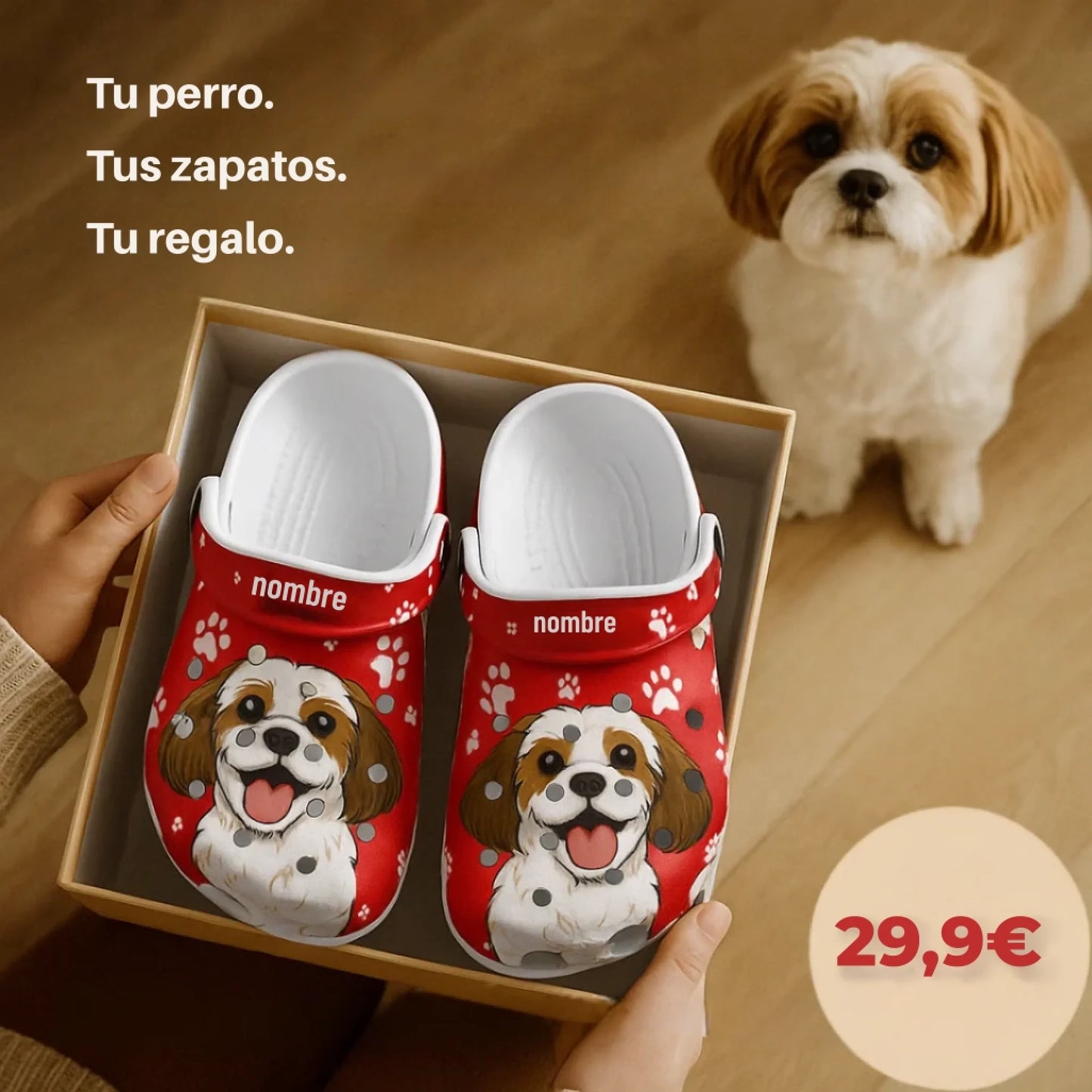 （西班牙语）（西班牙语）（西班牙语）（西班牙语）