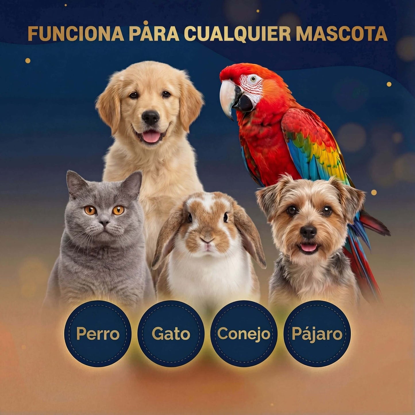 Caja de Recuerdo Holográfico Personalizado para Mascotas