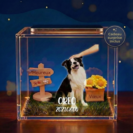 Coffret souvenir holographique personnalisé pour animaux de compagnie