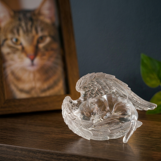 Personalisierte Haustier-Gedenkstatue, schlafender Engel aus klarem Kunstharz, Erinnerungsstück für Katze oder Hund