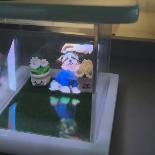 Caja de Recuerdo Holográfico Personalizado para Mascotas